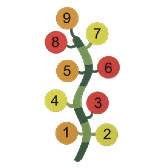 Active Games playground graphic example 1