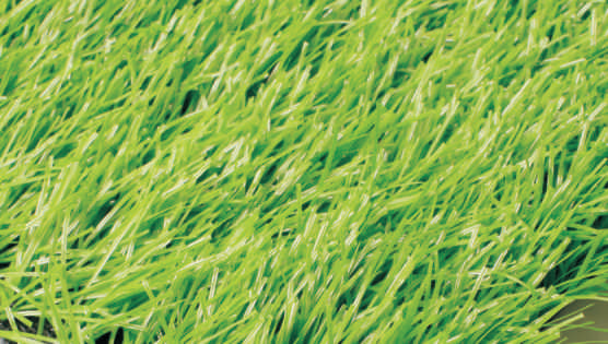 Double Rib Yarn Turf