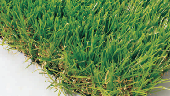 Landscape Lawn Solutions - Four-Color Grass