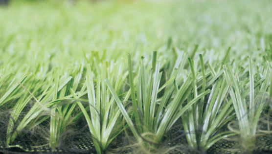 Reinforced Ribbed Monofilament Turf