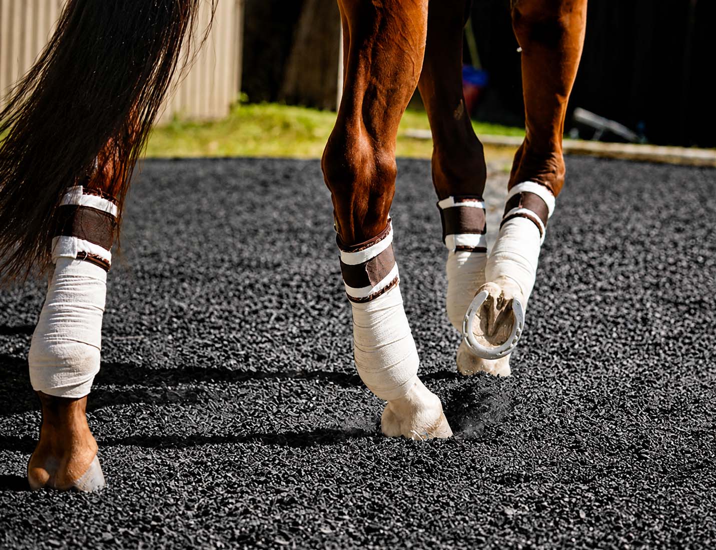 SBR rubber flooring for horse stables